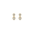 Sparkly Drop Earrings